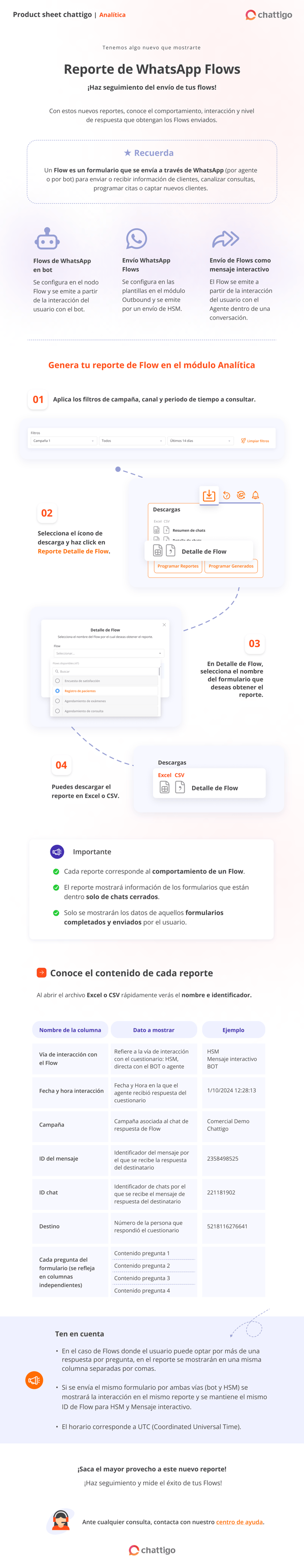 PS Reporte detalle de flow - ESPAÑOL